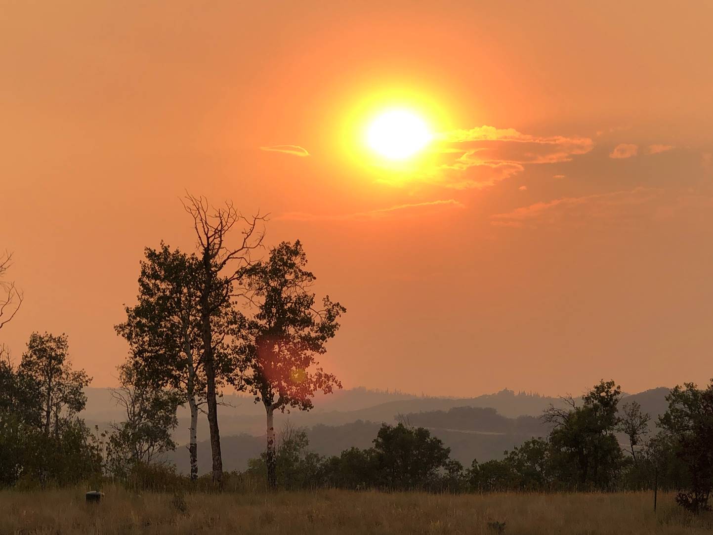 Sunset by Mary Weingart